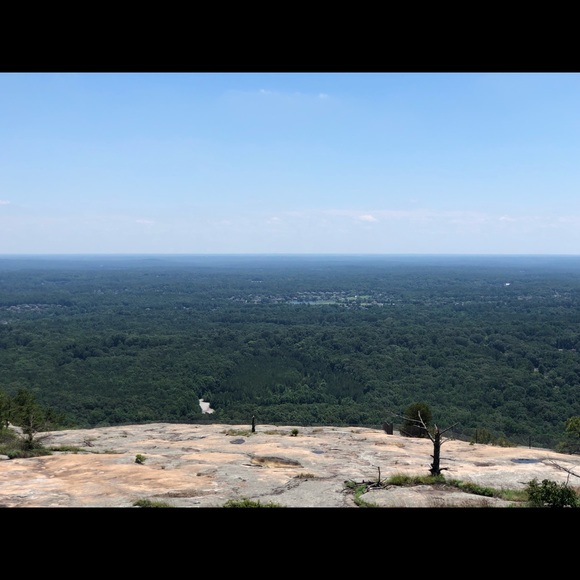 Meet your Posher, Bo - Picture 1 of 1